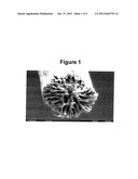 Fiber or Foil from Polymers with High Tg and Process for their Manufacture diagram and image