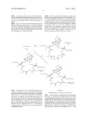 METALLOPEPTIDE CATALYSTS diagram and image