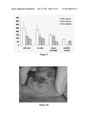 ENGINEERED CRANIOFACIAL CONSTRUCTS WITH COMPOSITE SCAFFOLD diagram and image