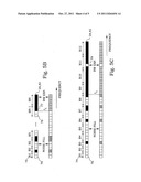 Adaptive Transition Frequency Between Noise Fill and Bandwidth Extension diagram and image