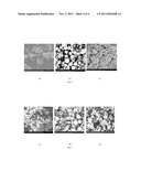 THERMALLY INSULATED STRUCTURAL MEMBERS, AND DOORS AND WINDOWS     INCORPORATING THEM diagram and image