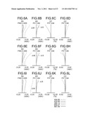 Image forming optical system and electronic image pickup apparatus     equipped with same diagram and image