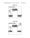 Methods For Fat Quantification With Correction For Noise Bias diagram and image