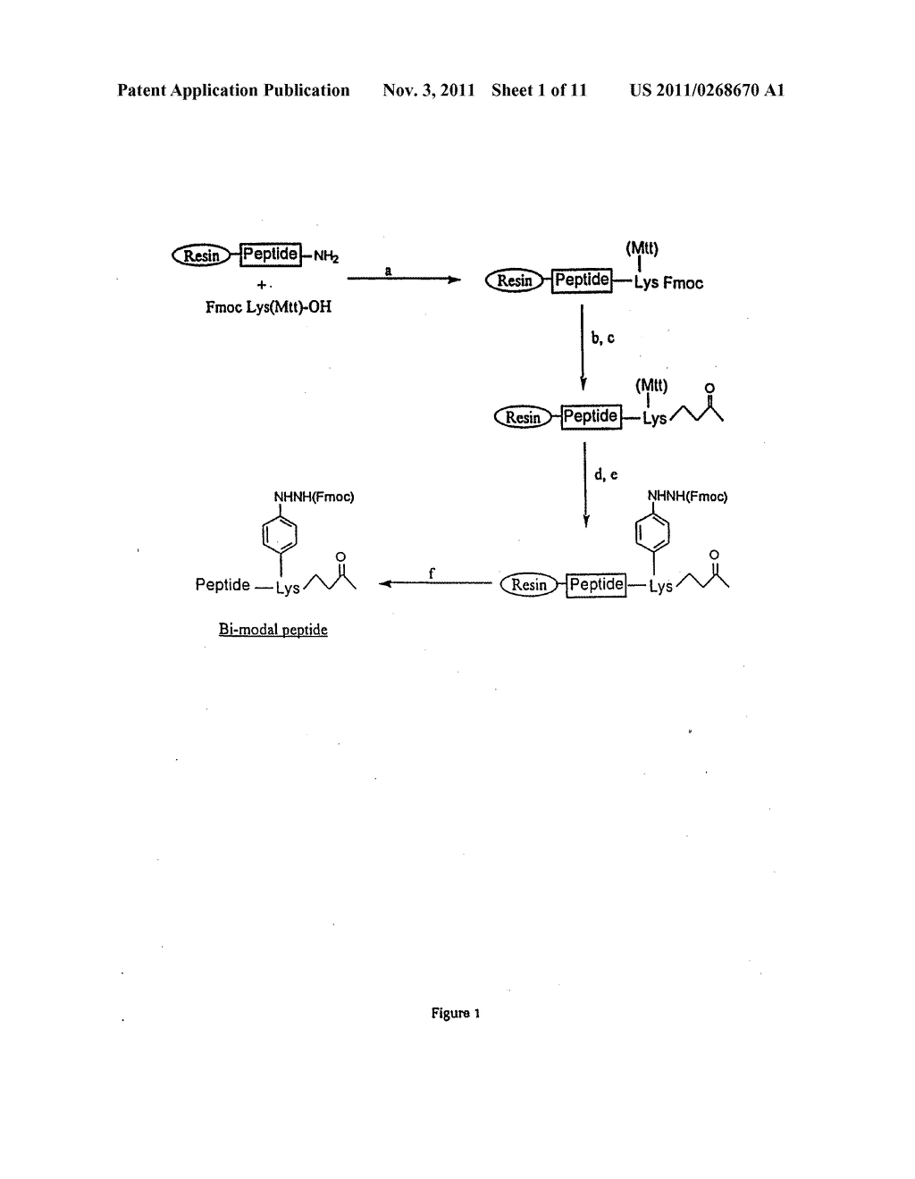 SYNTHETIC PEPTIDE CONSTRUCTS FOR THE DIAGNOSIS AND TREATMENT OF     PERIODONTITIS ASSOCIATED WITH PORPHYROMONAS GINGIVALIS - diagram, schematic, and image 02