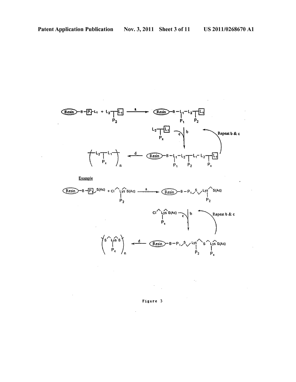 SYNTHETIC PEPTIDE CONSTRUCTS FOR THE DIAGNOSIS AND TREATMENT OF     PERIODONTITIS ASSOCIATED WITH PORPHYROMONAS GINGIVALIS - diagram, schematic, and image 04