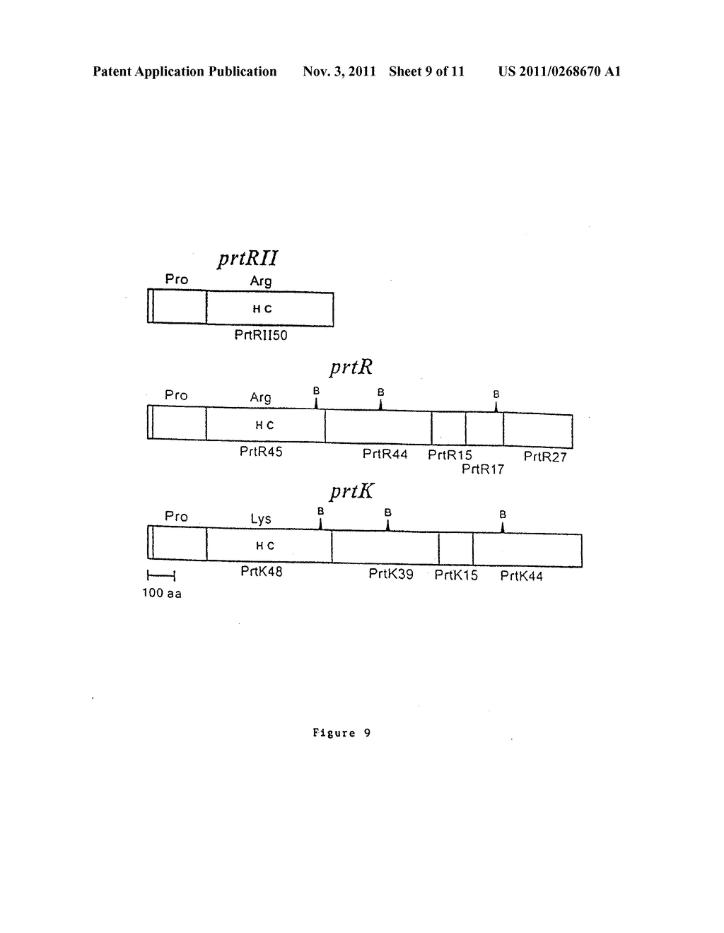 SYNTHETIC PEPTIDE CONSTRUCTS FOR THE DIAGNOSIS AND TREATMENT OF     PERIODONTITIS ASSOCIATED WITH PORPHYROMONAS GINGIVALIS - diagram, schematic, and image 10