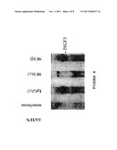 ANTI-INTERFERON-ALPHA ANTIBODIES diagram and image