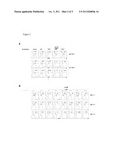 HUMAN CYTOMEGALOVIRUS NEUTRALIZING ANTIBODIES AND USE THEREOF diagram and image