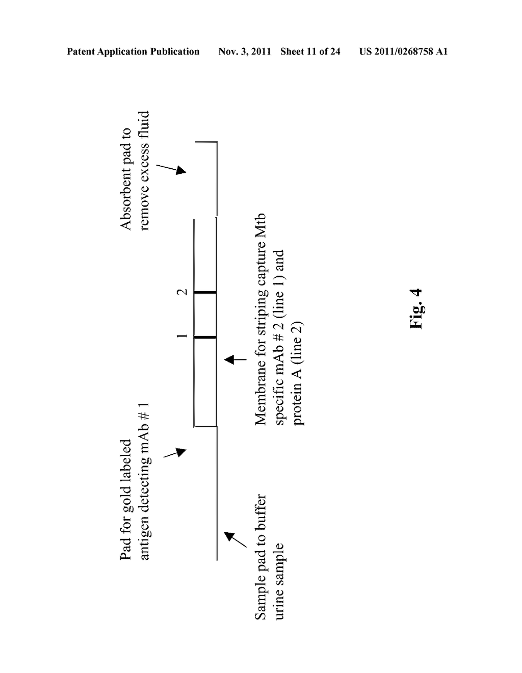 TUBERCULOSIS ANTIGEN DETECTION ASSAYS AND VACCINES - diagram, schematic, and image 12