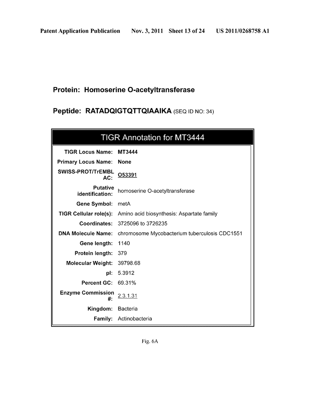 TUBERCULOSIS ANTIGEN DETECTION ASSAYS AND VACCINES - diagram, schematic, and image 14