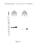 TUBERCULOSIS ANTIGEN DETECTION ASSAYS AND VACCINES diagram and image