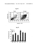 USE OF ALLOGENEIC CELL LINES TO LOAD ANTIGEN-PRESENTING CELLS TO ELICIT OR     ELIMINATE IMMUNE RESPONSES diagram and image