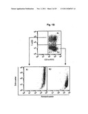 USE OF ALLOGENEIC CELL LINES TO LOAD ANTIGEN-PRESENTING CELLS TO ELICIT OR     ELIMINATE IMMUNE RESPONSES diagram and image