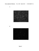 Methods For Direct Fluorescent Antibody Virus Detection In Liquids diagram and image