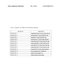 Methods, Primers, Probes and Kits Useful for the Detection of BRAF     Mutations diagram and image