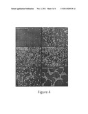 Antibiotice Susceptibility Profiling Methods diagram and image