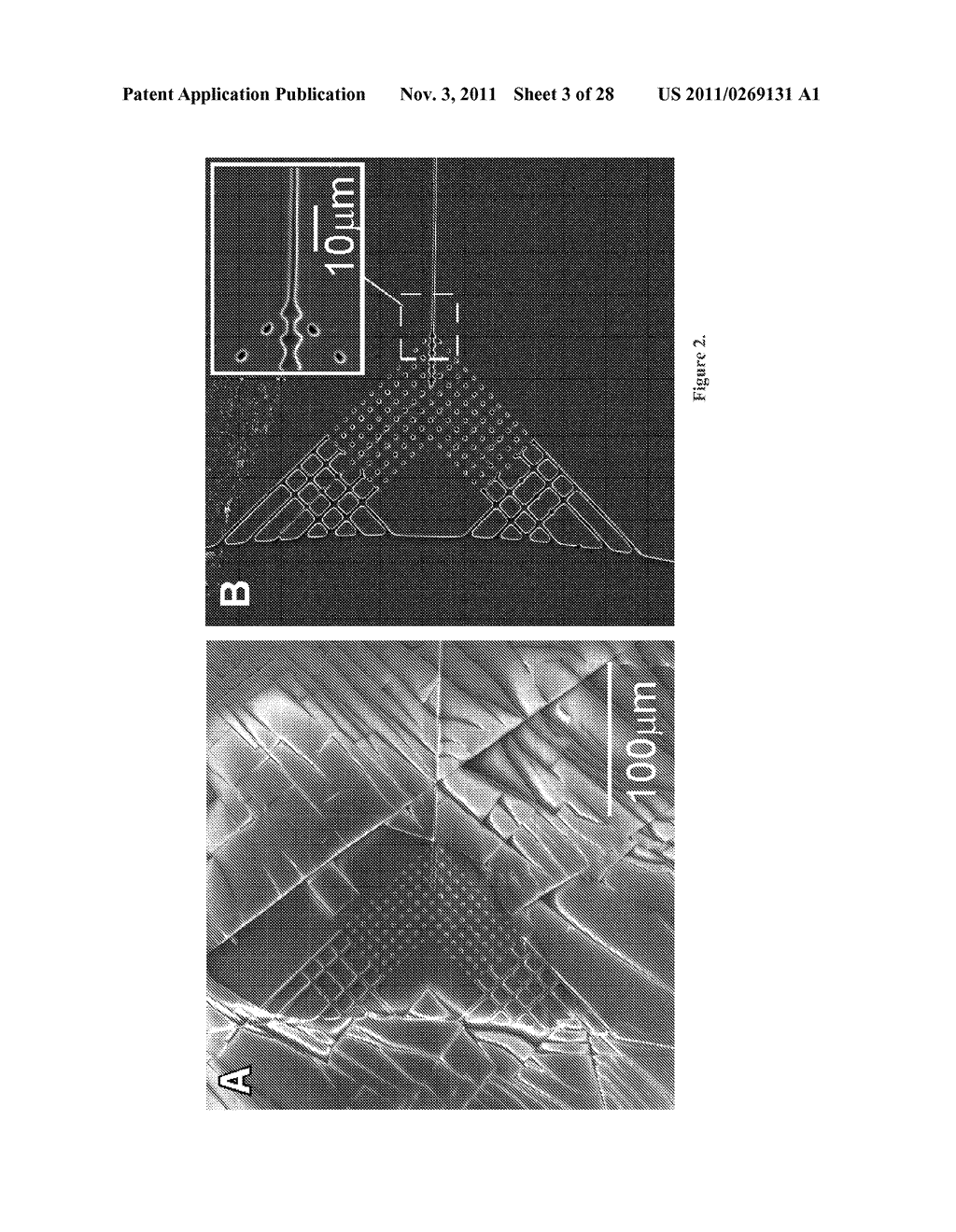 SUBSTRATE FOR MANUFACTURING DISPOSABLE MICROFLUIDIC DEVICES - diagram, schematic, and image 04