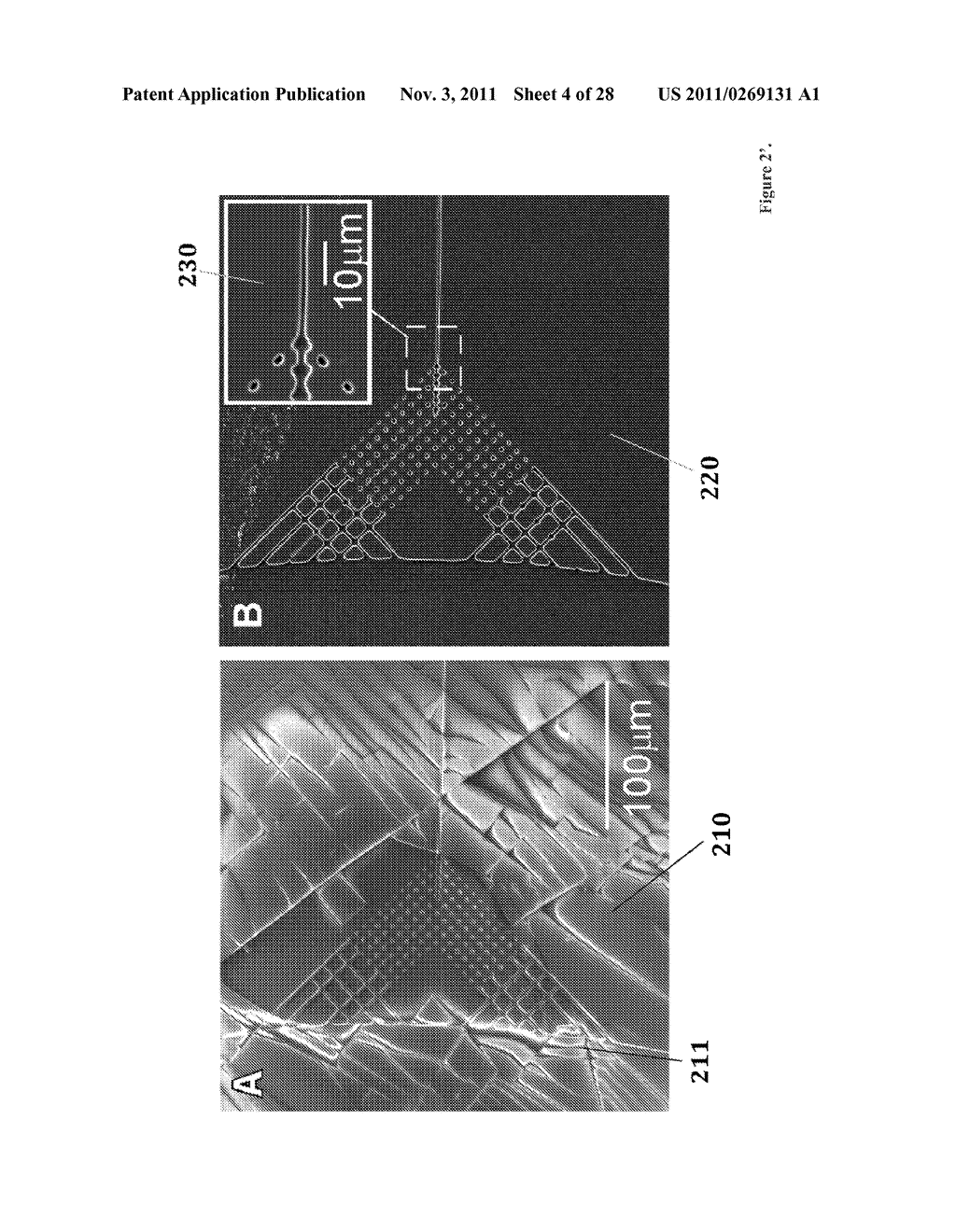 SUBSTRATE FOR MANUFACTURING DISPOSABLE MICROFLUIDIC DEVICES - diagram, schematic, and image 05