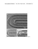 SUBSTRATE FOR MANUFACTURING DISPOSABLE MICROFLUIDIC DEVICES diagram and image