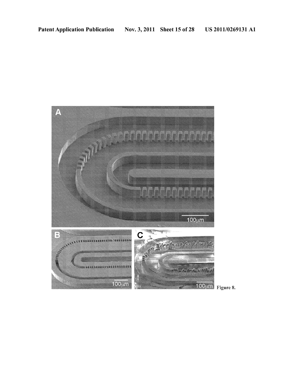 SUBSTRATE FOR MANUFACTURING DISPOSABLE MICROFLUIDIC DEVICES - diagram, schematic, and image 16