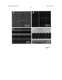 SUBSTRATE FOR MANUFACTURING DISPOSABLE MICROFLUIDIC DEVICES diagram and image