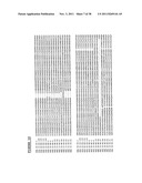 RYANODINE RECEPTOR POLYPEPTIDES diagram and image