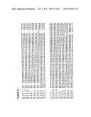 RYANODINE RECEPTOR POLYPEPTIDES diagram and image