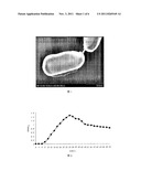 PSEUDOMONAS ALCALIPHILA MBR AND ITS APPLICATION IN BIOREDUCTION AND     BIOSORPTION diagram and image