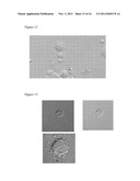 METHODS FOR ASSAYING RESPONSES TO VACCINES diagram and image