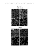 FLUORESCENT CDK INHIBITORS FOR TREATMENT OF CANCER diagram and image