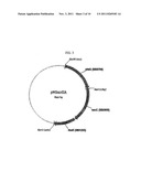 RECOMBINANT MICROORGANISM HAVING AN ABILITY OF USING SUCROSE AS A CARBON     SOURCE diagram and image