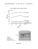 METHODS OF INHIBITING VIRAL REPLICATION diagram and image