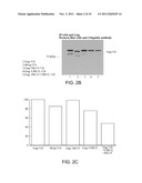 METHODS OF INHIBITING VIRAL REPLICATION diagram and image