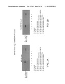METHODS OF INHIBITING VIRAL REPLICATION diagram and image