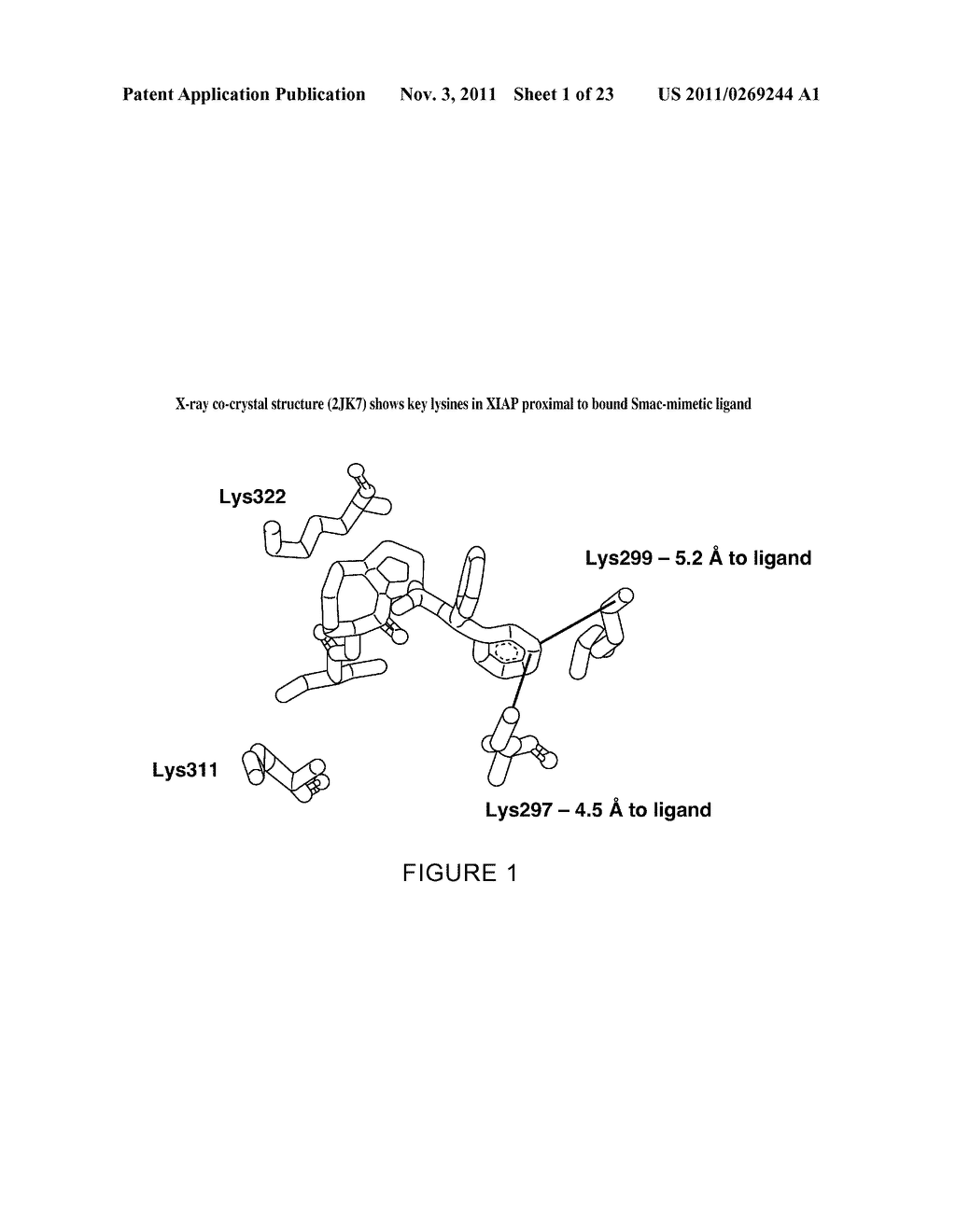 LIGAND-DIRECTED COVALENT MODIFICATION OF PROTEIN - diagram, schematic, and image 02