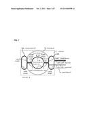 BIDIRECTIONAL TRANSMISSION COIL AND BIDIRECTIONAL TRANSMISSION SYSTEM     USING THE SAME diagram and image