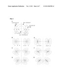 BIDIRECTIONAL TRANSMISSION COIL AND BIDIRECTIONAL TRANSMISSION SYSTEM     USING THE SAME diagram and image