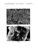 FORMULATION BASED ON MICRONIZED NATURAL CALCITE MINERAL AS A PLANT BOOSTER     AND MINERAL FERTILIZER diagram and image