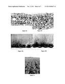 FORMULATION BASED ON MICRONIZED NATURAL CALCITE MINERAL AS A PLANT BOOSTER     AND MINERAL FERTILIZER diagram and image