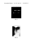 BRYOSTATIN ANALOGUES AND METHODS OF MAKING AND USING THEREOF diagram and image