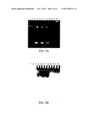 BRYOSTATIN ANALOGUES AND METHODS OF MAKING AND USING THEREOF diagram and image