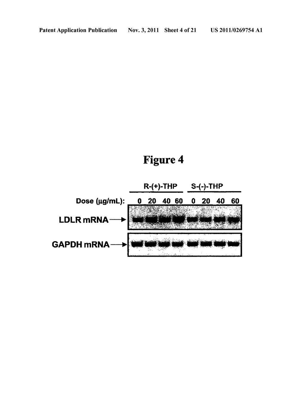 COMPOUNDS AND COMPOSITIONS FOR REDUCING LIPID LEVELS - diagram, schematic, and image 05