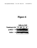 COMPOUNDS AND COMPOSITIONS FOR REDUCING LIPID LEVELS diagram and image