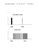 COMBINED APPARATUS FOR DETECTION OF MULTISPECTRAL OPTICAL IMAGE EMITTED     FROM LIVING BODY AND FOR LIGHT THERAPY diagram and image