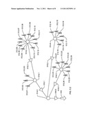 PROXY METHODS FOR EXPENSIVE FUNCTION OPTIMIZATION WITH EXPENSIVE NONLINEAR     CONSTRAINTS diagram and image