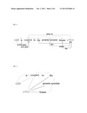 SYSTEMS AND METHODS FOR SEMI-SUPERVISED RELATIONSHIP EXTRACTION diagram and image