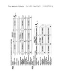 WIRELESS TELEVISION SYSTEM diagram and image