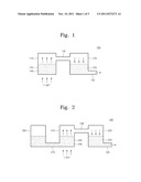 APPARATUS AND METHOD FOR INJECTING MICROFLUIDIC diagram and image