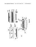 MICROFLUIDIC DEVICE FOR SEPARATING, FRACTIONATING, OR PRECONCENTRATING     ANALYTES CONTAINED IN AN ELECTROLYTE diagram and image