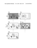 APPARATUS AND METHOD FOR RECEIVING GESTURE-BASED INPUT IN A MOBILE DEVICE diagram and image